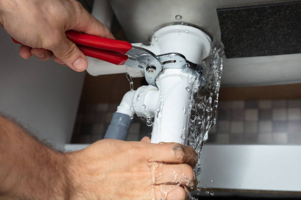 Best Fire Damage Restoration  in Johnson Lane, NV