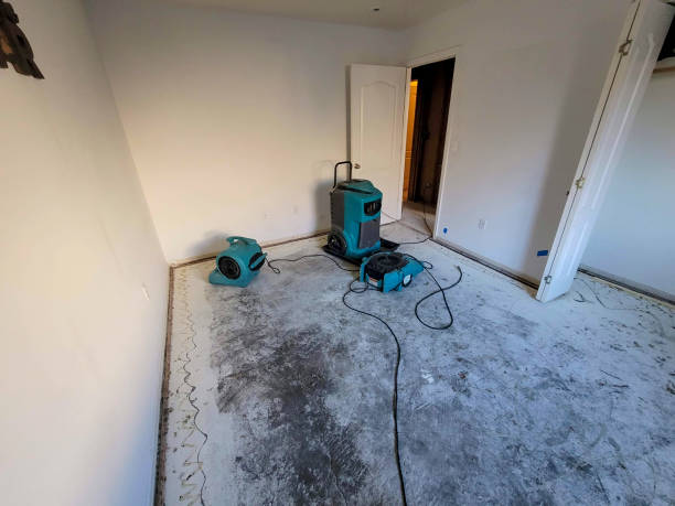 Best Sewage cleanup and water damage restoration  in Johnson Lane, NV