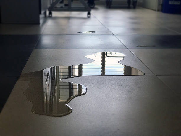Best Commercial water damage restoration  in Johnson Lane, NV
