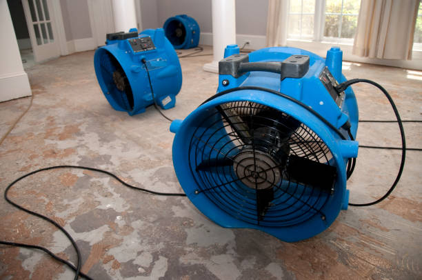 Best Flood restoration services  in Johnson Lane, NV
