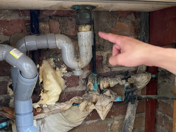 Best Flood damage cleanup  in Johnson Lane, NV