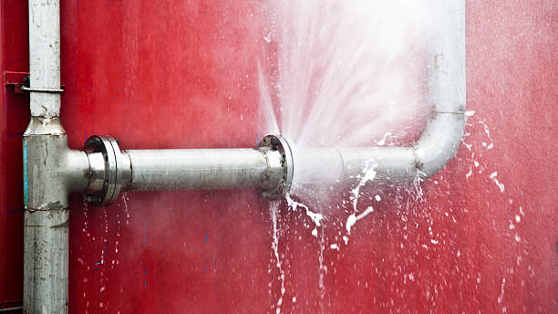 Best 24-hour water damage restoration  in Johnson Lane, NV